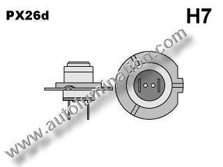 H7 PX26D Bulb Base Dimensions Schematic Configuration